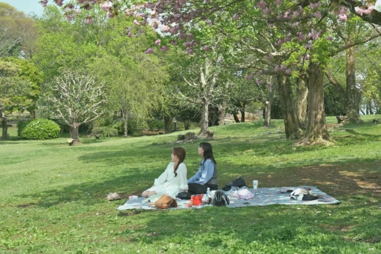 트래블 서치 이미지