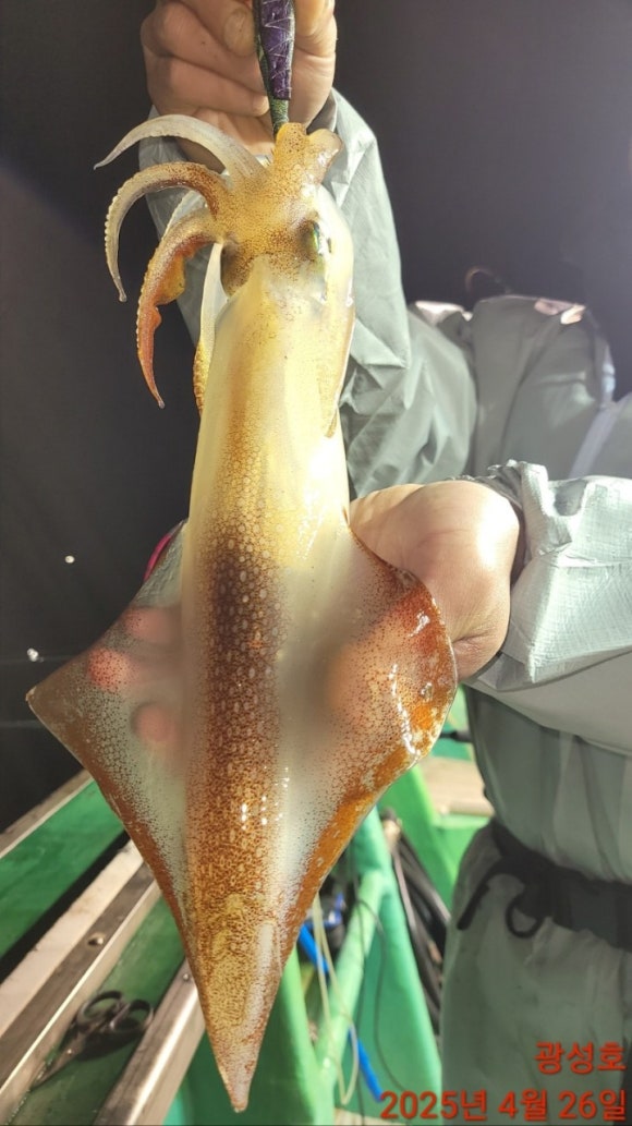 광성호 이미지