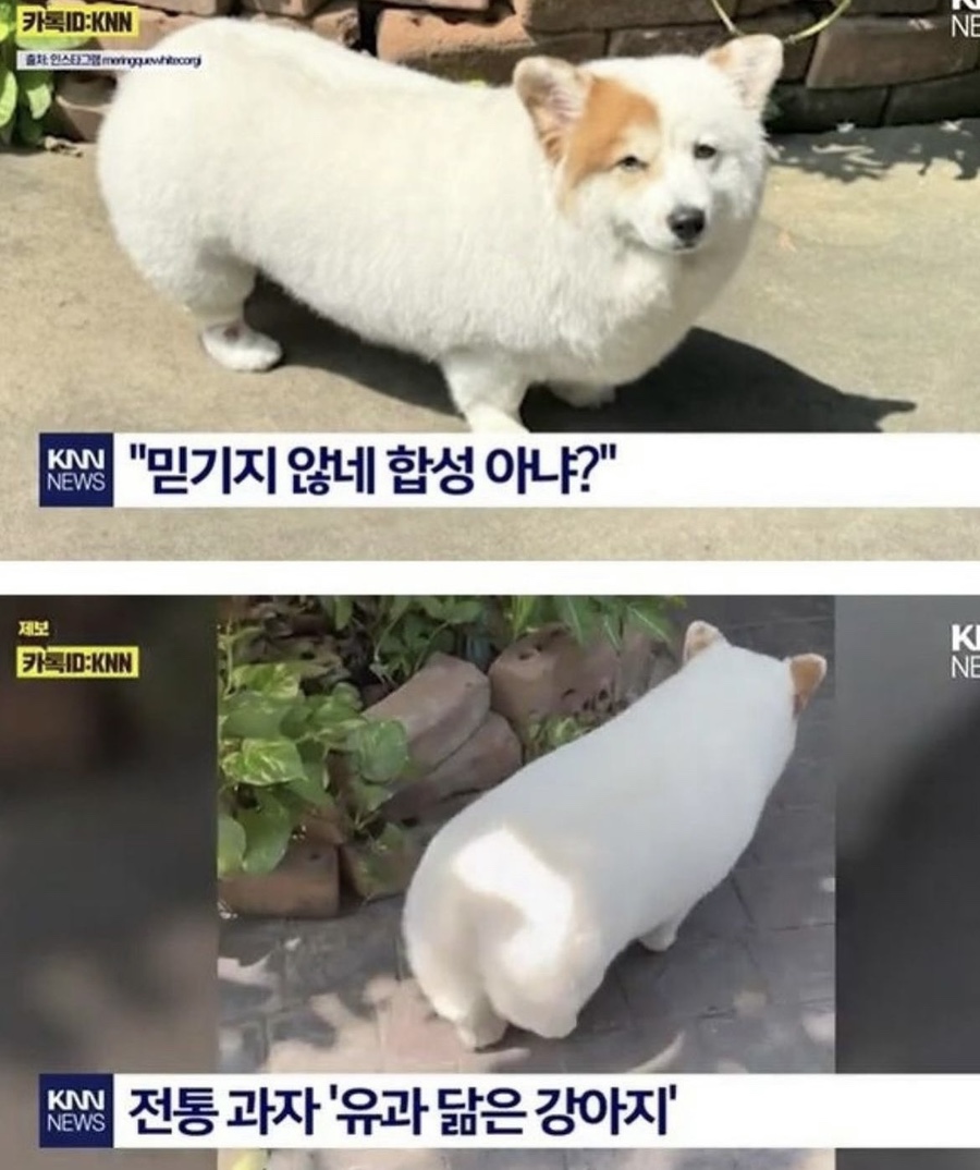 안녕하세요 이미지