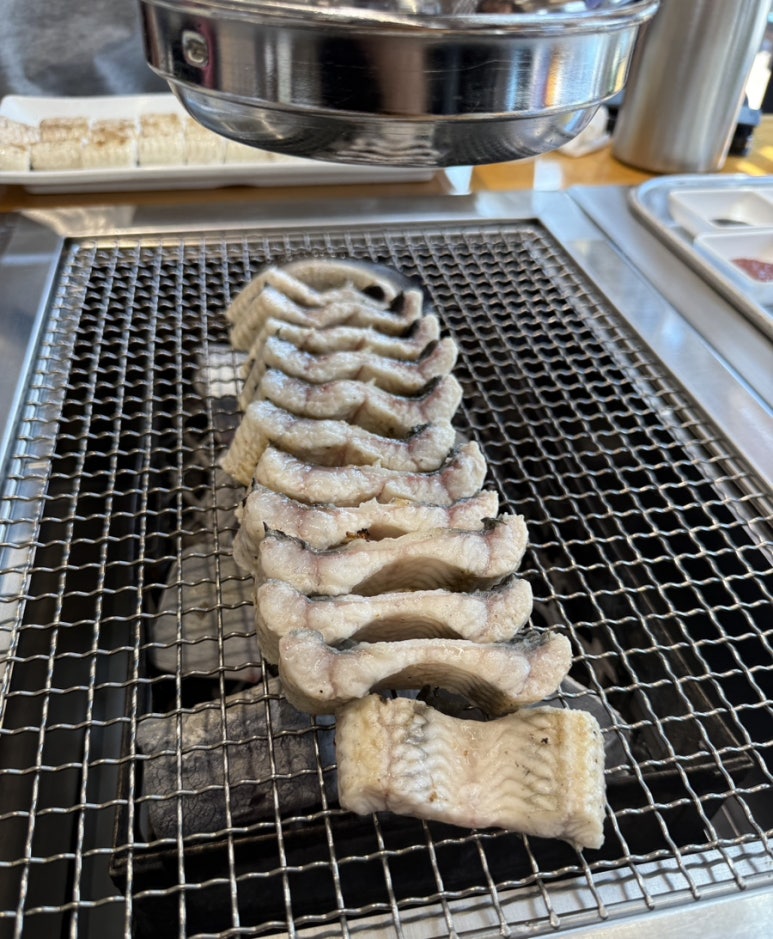 황실장어 이미지