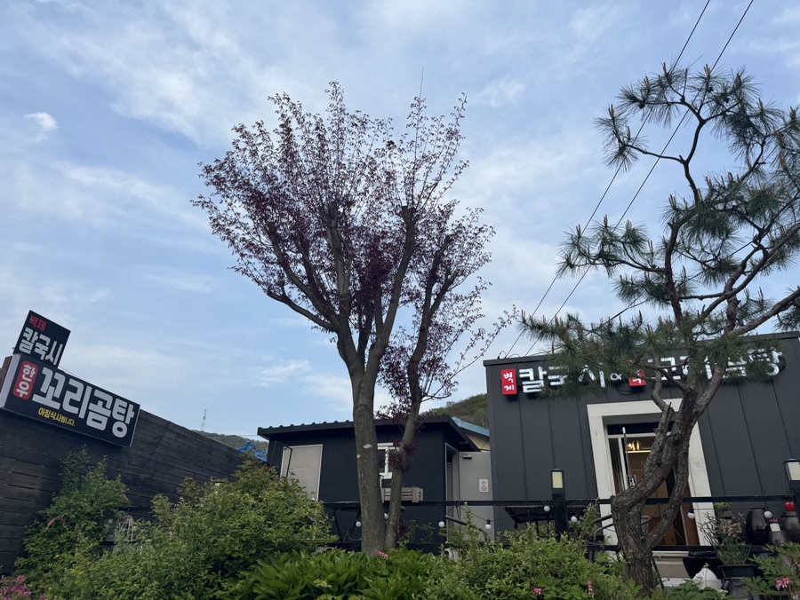 벽제칼국시 이미지
