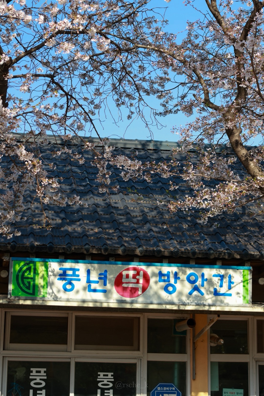 풍년떡방앗간 이미지