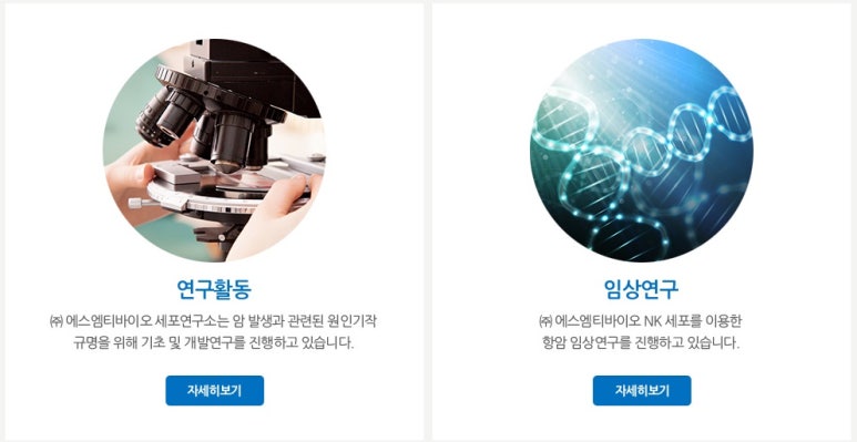 에스엠티 이미지