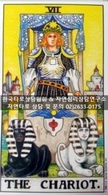 한국기질상담협회 이미지