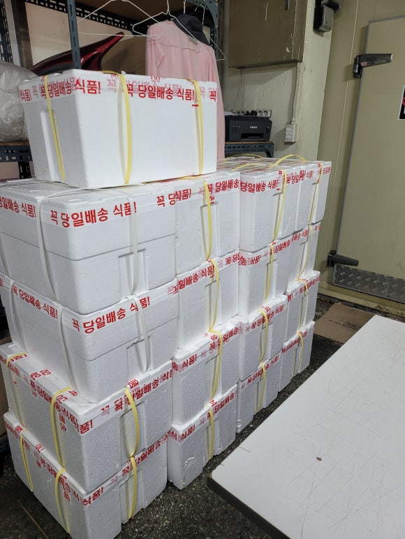 돼지곱닭 이미지