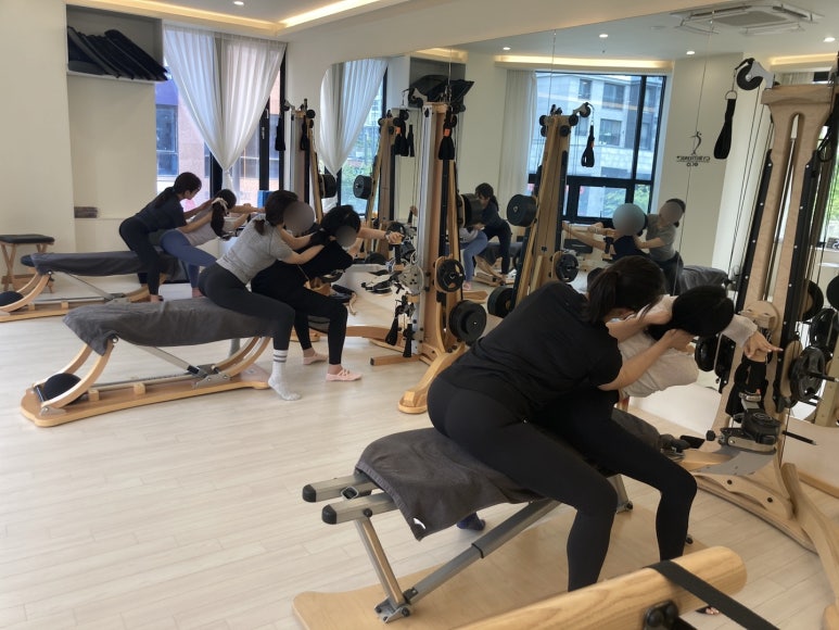 자이로토닉에코 이미지