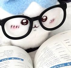 한국과학기술연구원 이미지