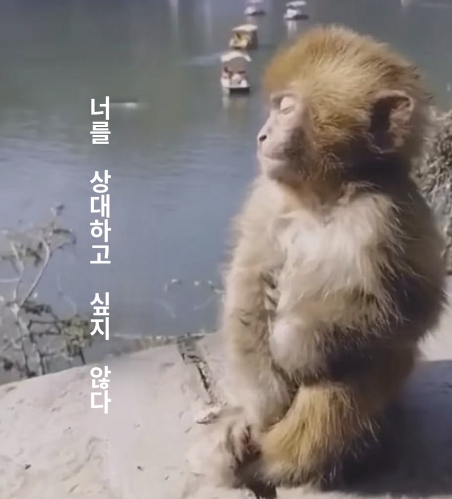 인생초밥 이미지