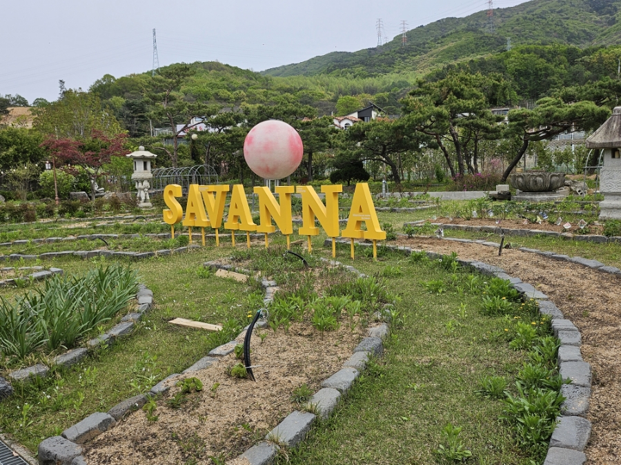 그리네 사바나 이미지