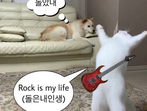 지금아니고지금 이미지