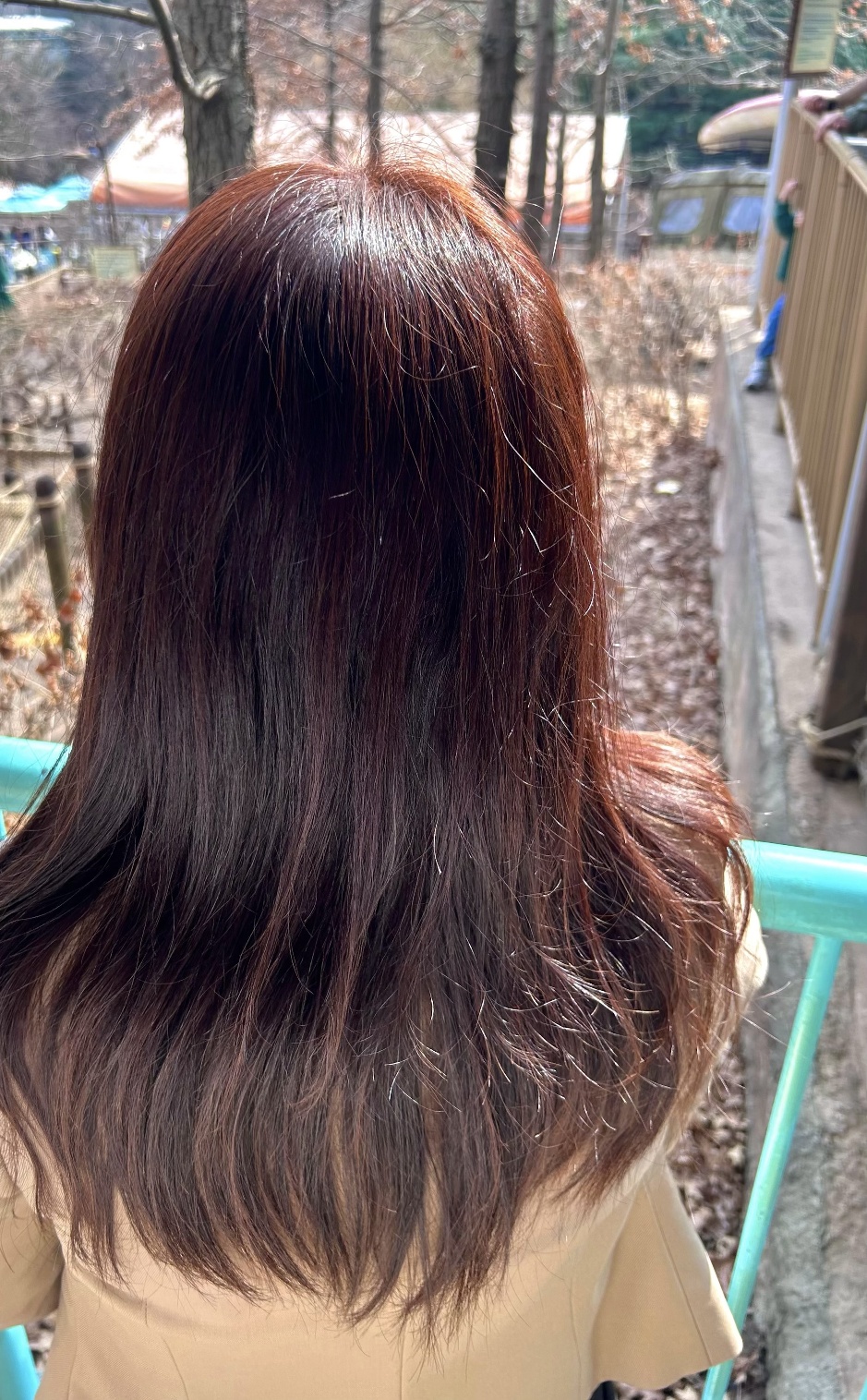 디자인커런트 이미지