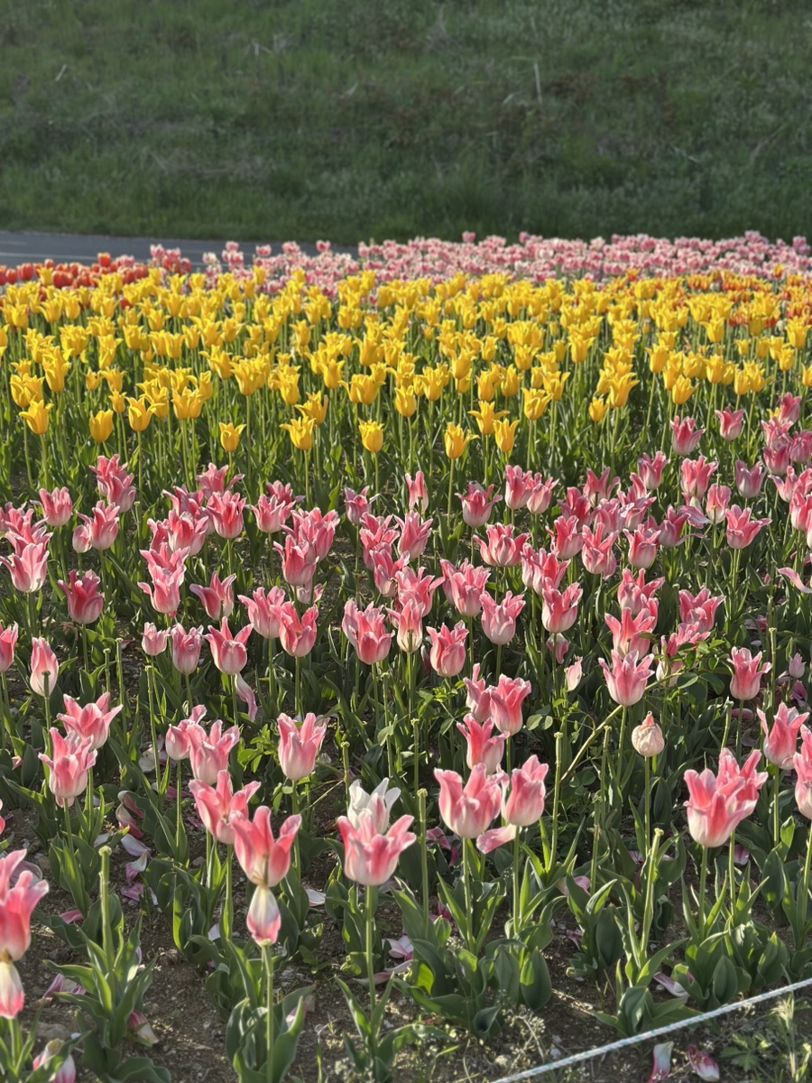 감천매운탕 이미지