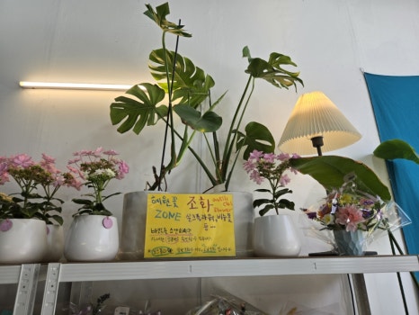 혜원;꽃진접꽃집 이미지