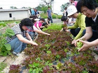 노승산우무실마을 이미지