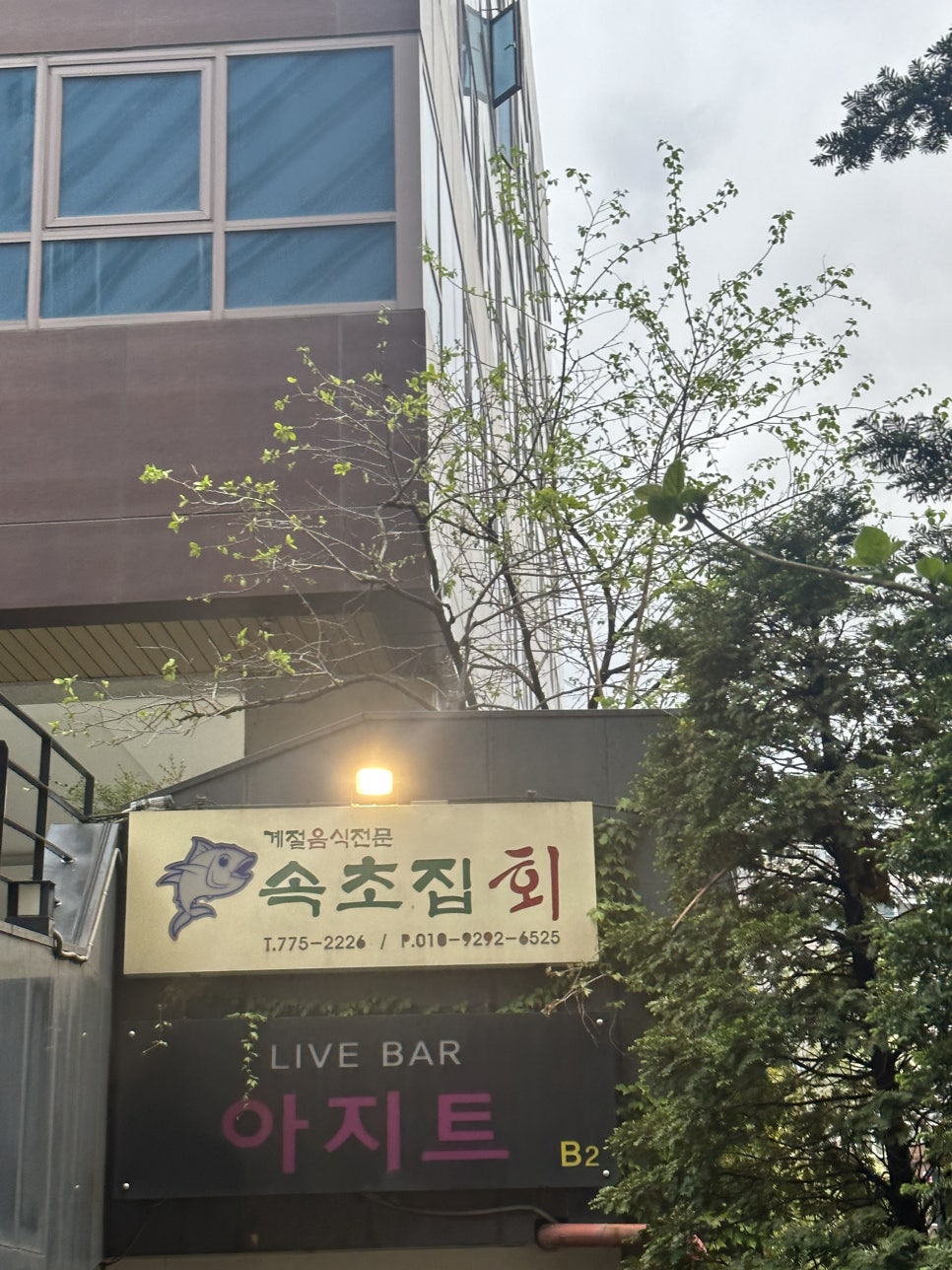 속초집 사진 5