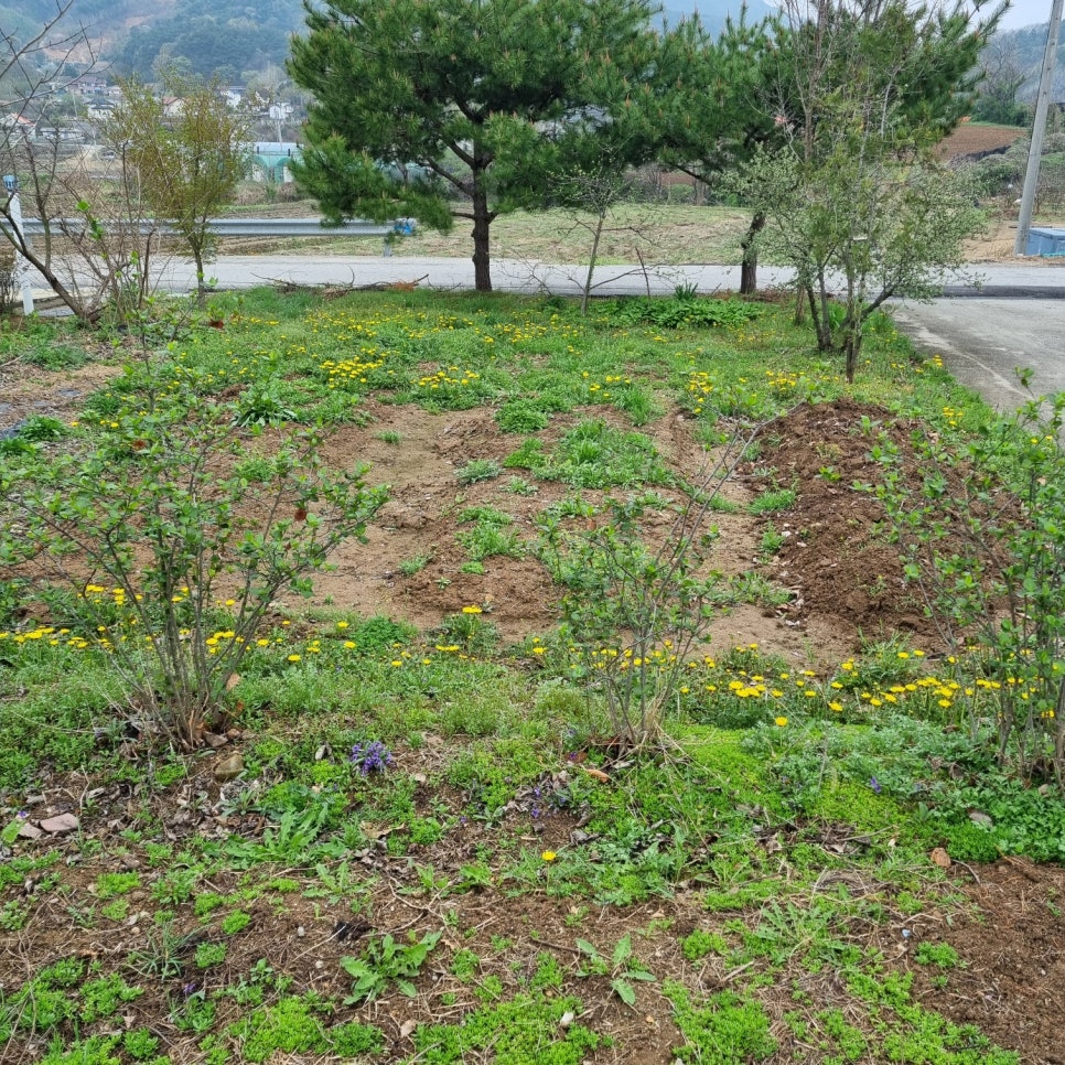 자연과사람 이미지