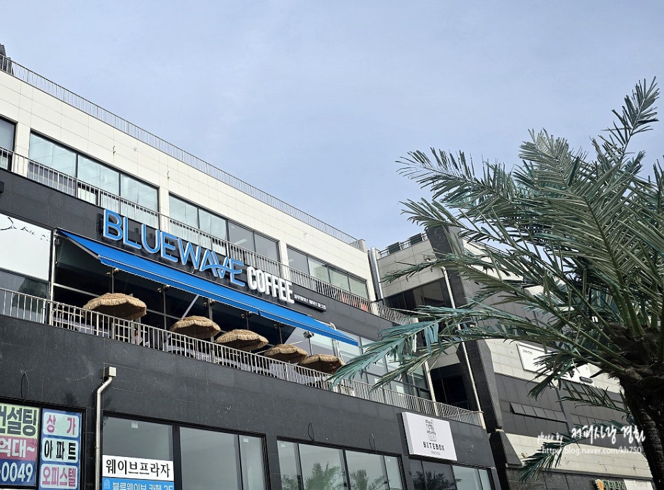 블루 웨이브 커피 이미지