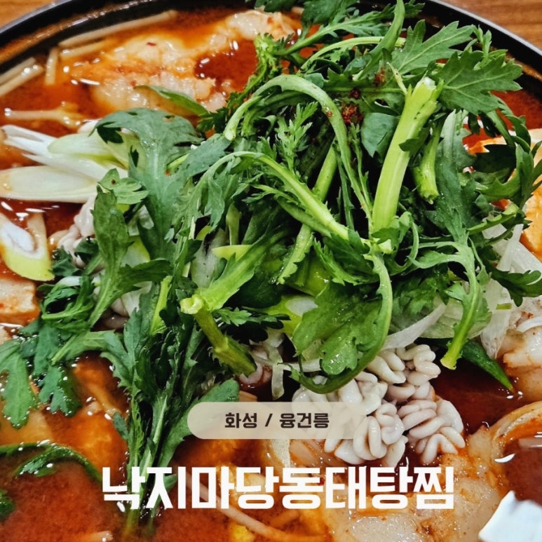 낙지마당동태탕찜 이미지