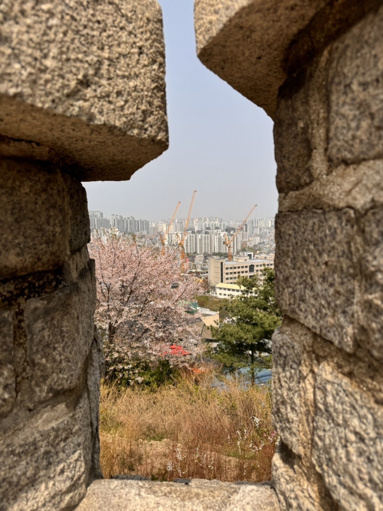 콩나물국밥 사진 5