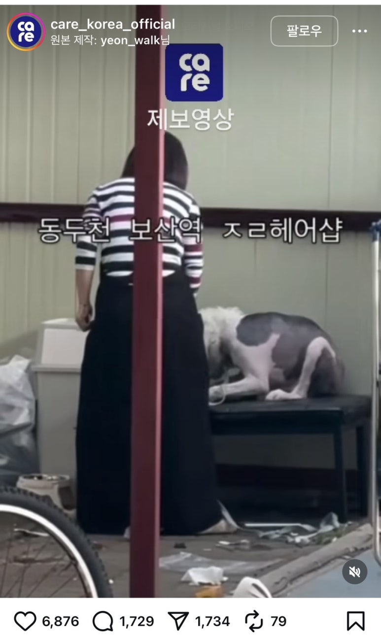 리헤어샵 이미지