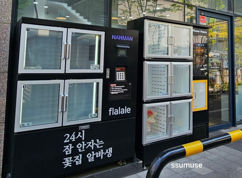 플라라레 이미지