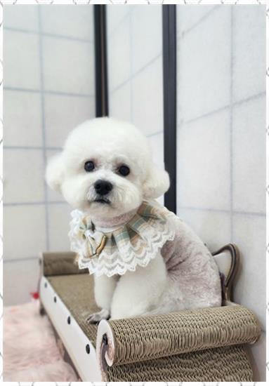 행복한미용실 이미지