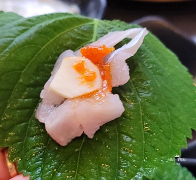 바다곶 이미지