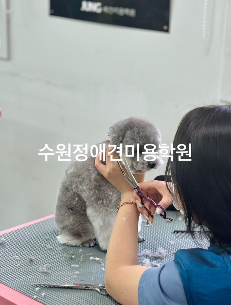 신세계미용 이미지
