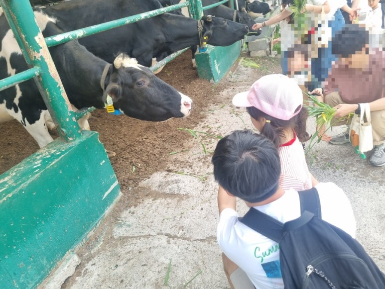 후사랑밀크(환희목장) 이미지