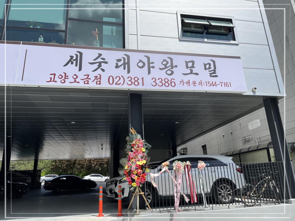 금화왕돈까스고양 이미지