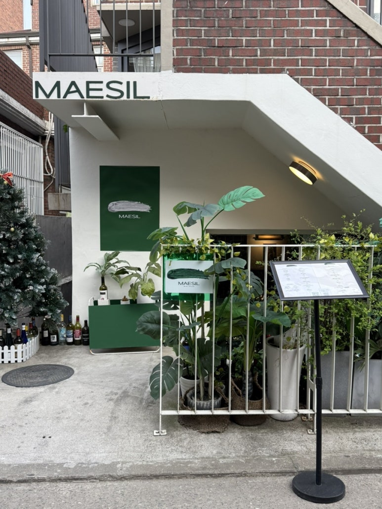 매실(maesil) 이미지