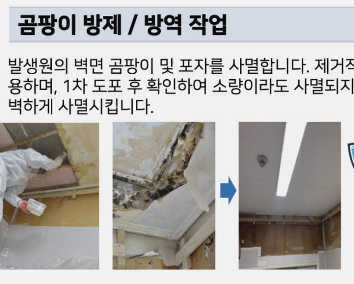 마법의손길 이미지