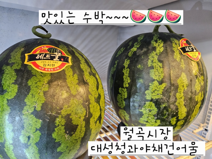 대성청과 이미지
