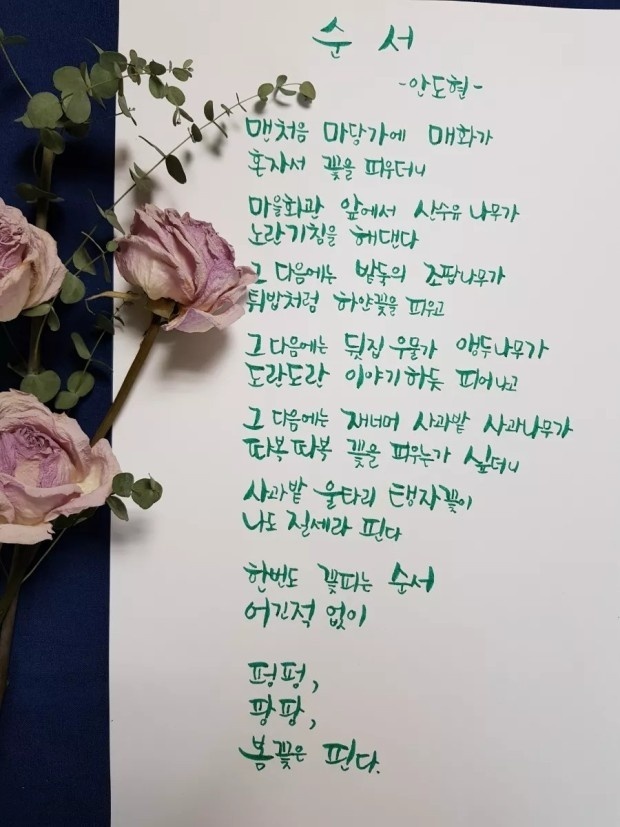 진짜노가리호프 이미지
