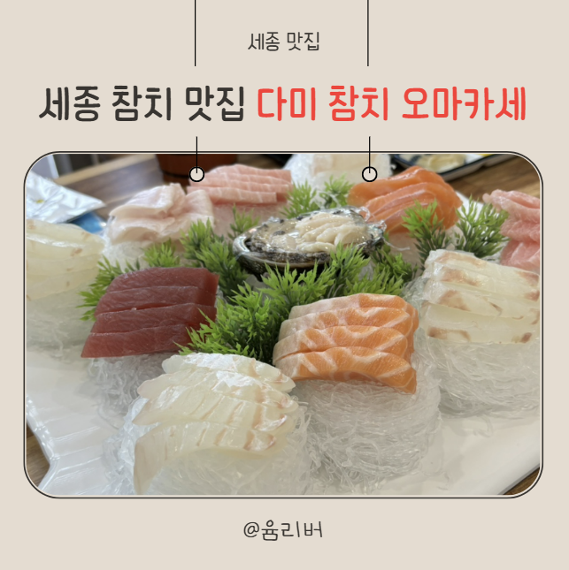다미참치 이미지