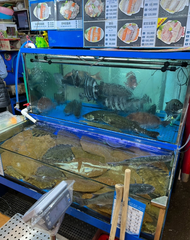 로또수산 이미지