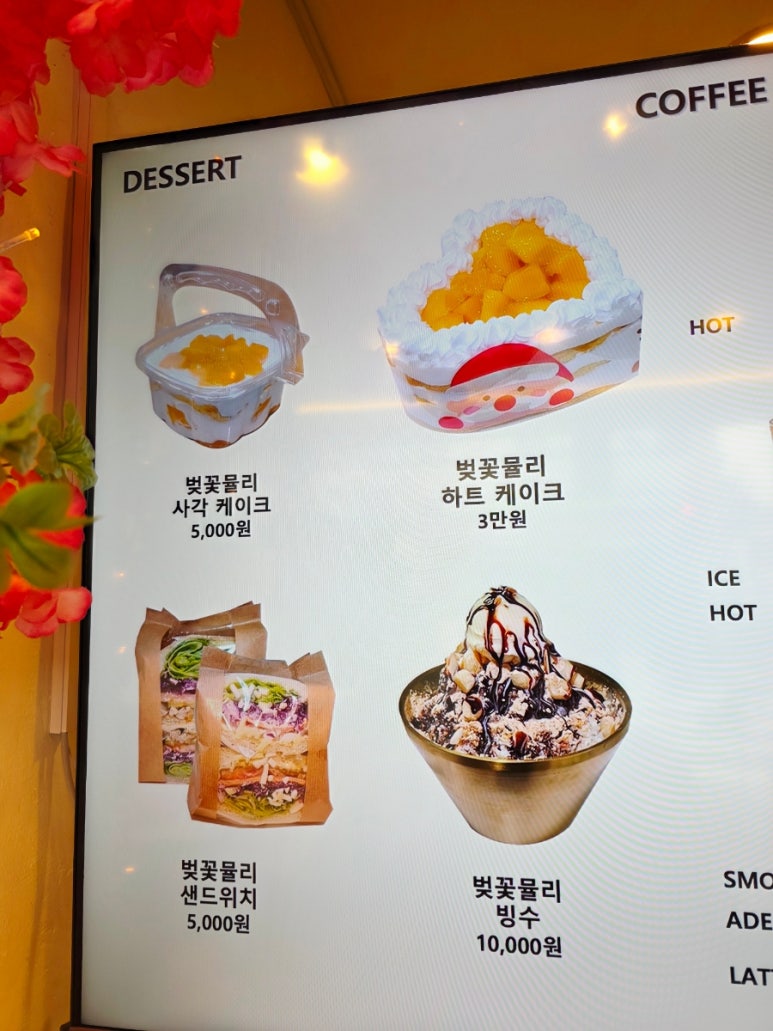 벚꽃뮬리 이미지