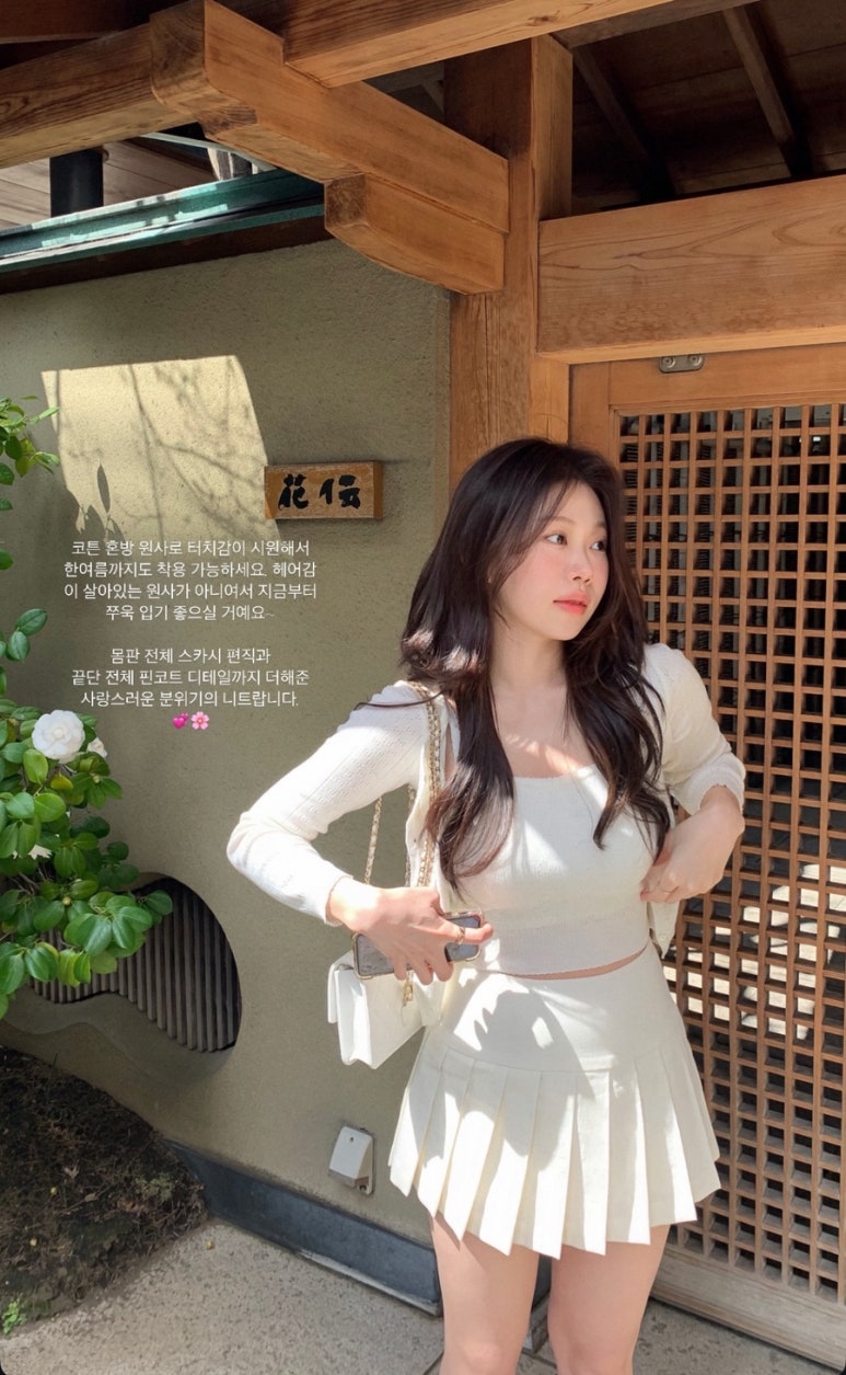 신디스 이미지