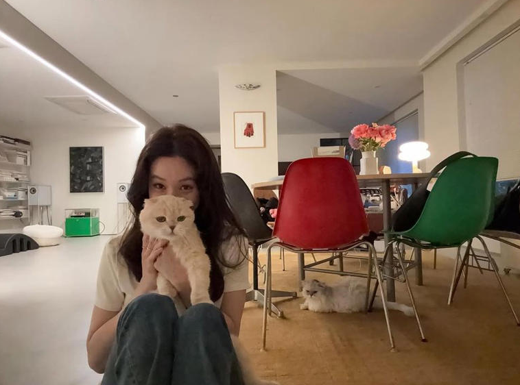 라무드헤어 이미지