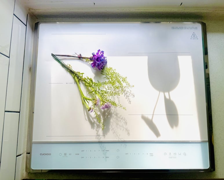 오로라국수 이미지