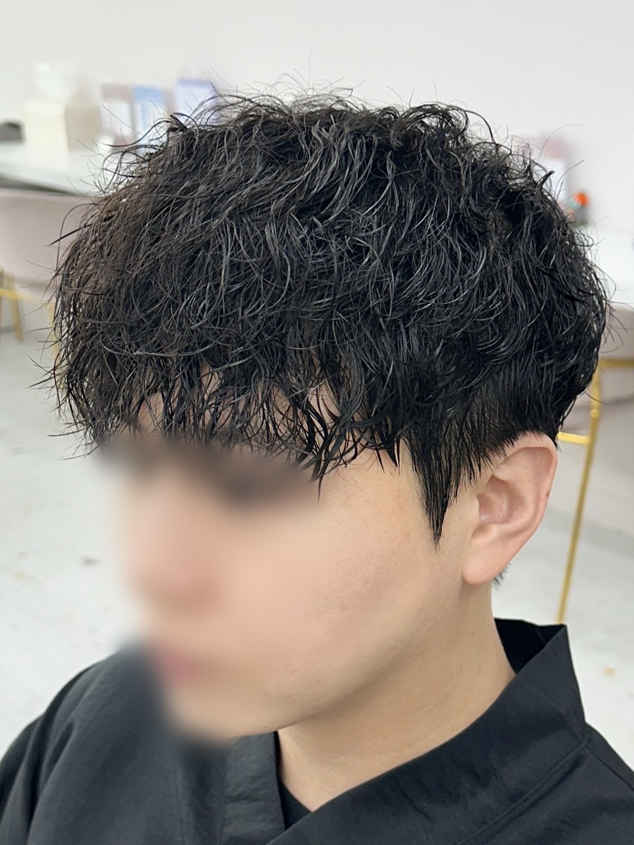 아라헤어 이미지