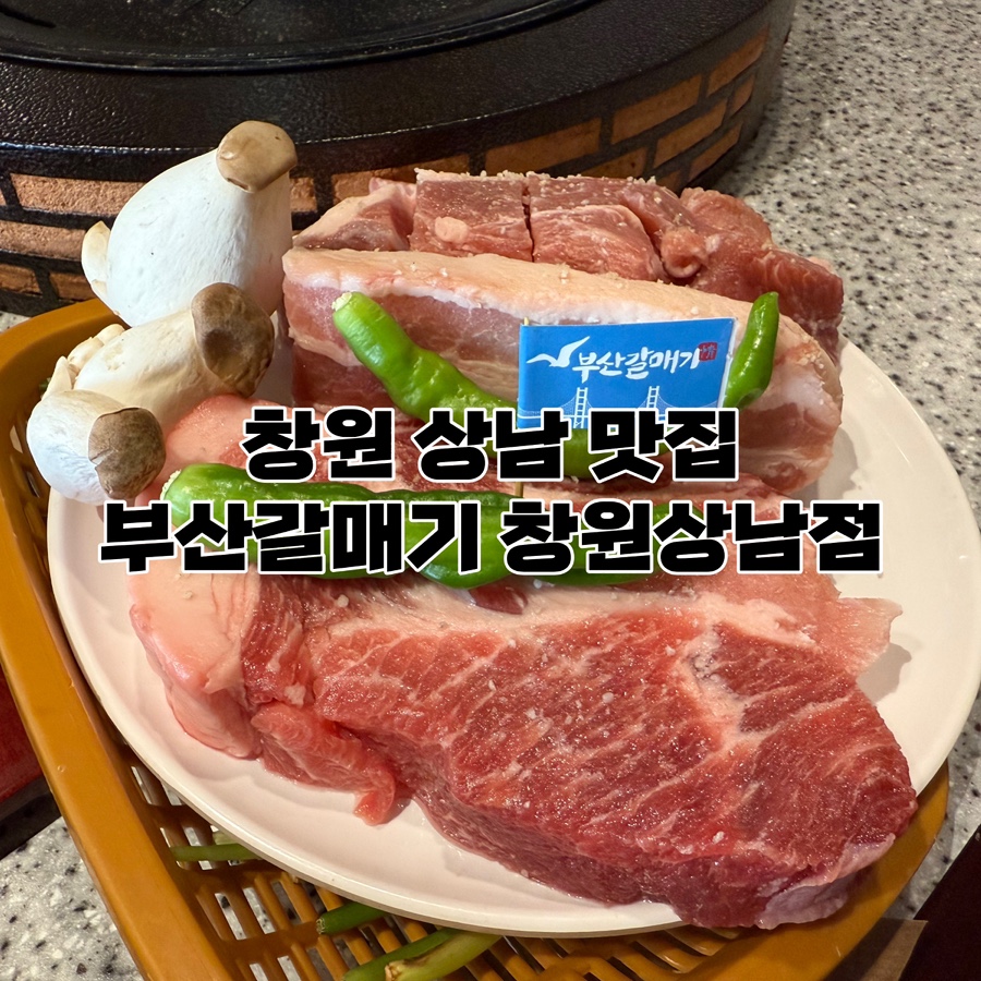 부산갈매기창원상남점 이미지