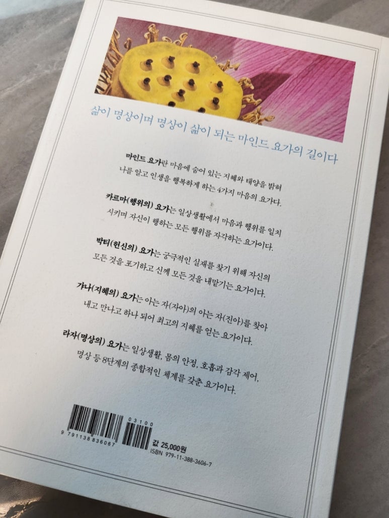 노사부 이미지