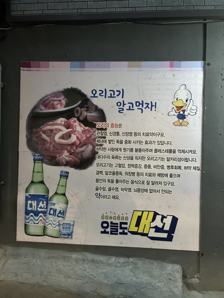 둥지생오리 이미지
