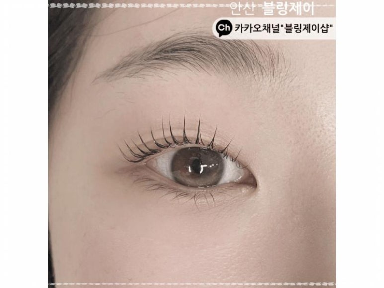 블링데이 이미지