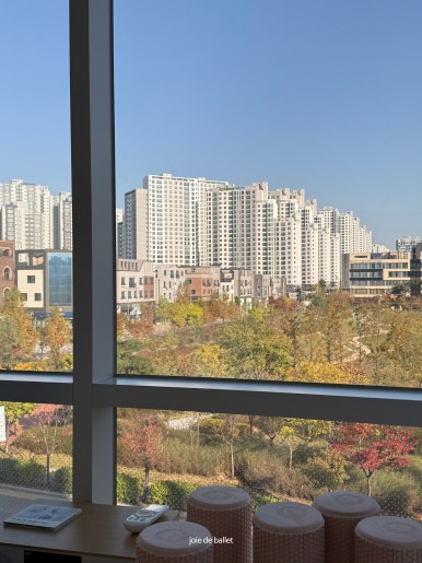 조이드발레학원 이미지