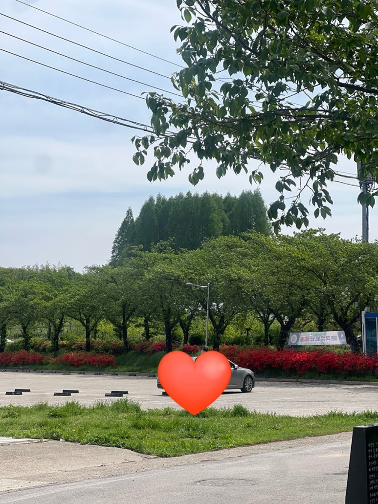 산동토담 이미지