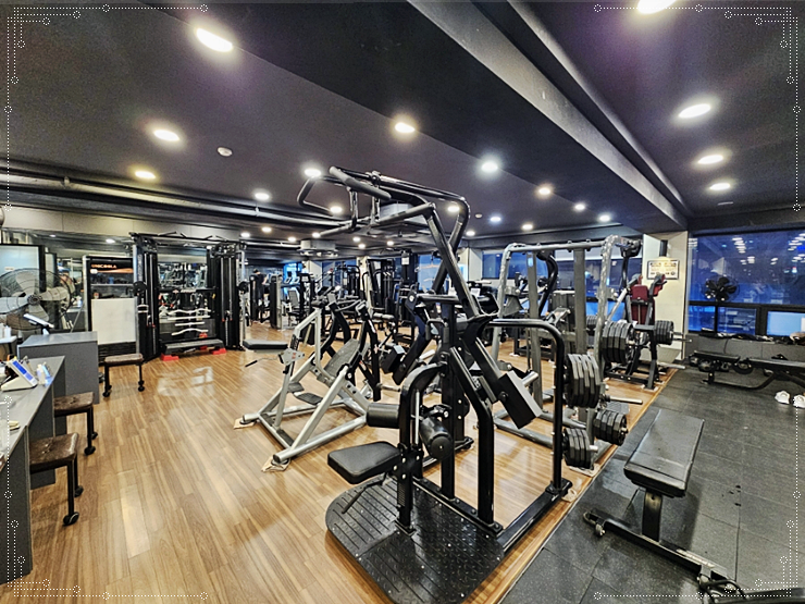 킹덤피트니스 이미지