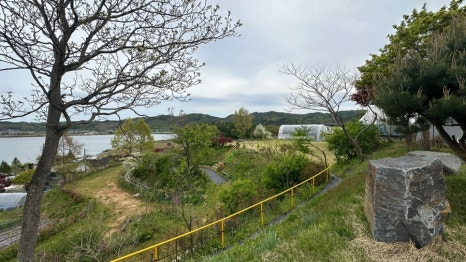 옥산호수정원진달래관광농원 이미지