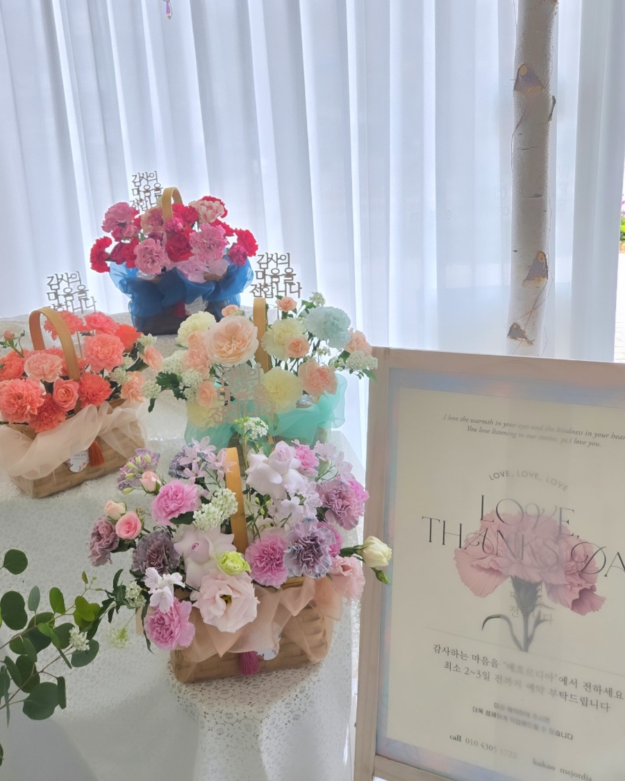 메호르디아 이미지